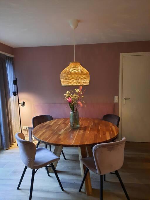 4-6 Persoons Vakantiewoning Met Eigen Tuin Villa Bakkeveen Dış mekan fotoğraf