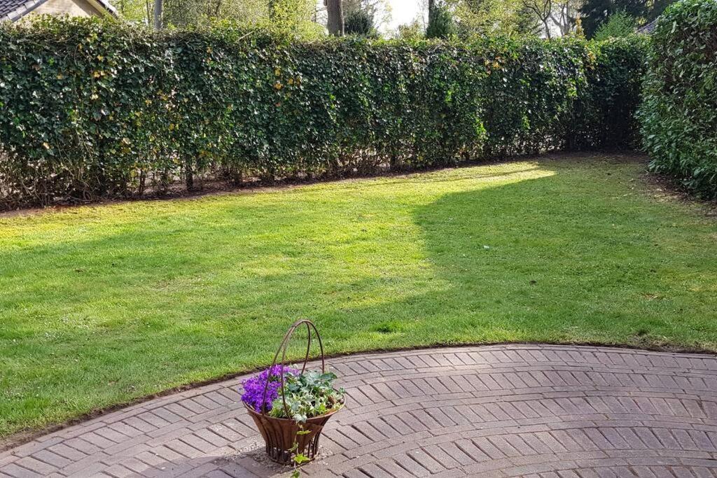 4-6 Persoons Vakantiewoning Met Eigen Tuin Villa Bakkeveen Dış mekan fotoğraf